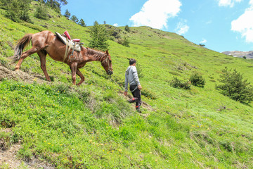 Teenager down with a horse on a mountain trail