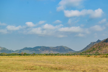 Obraz premium Vast and Empty Landscape