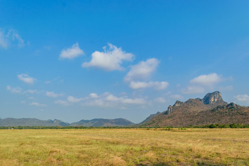 Obraz premium Summer Landscape with a golden grass field