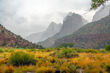 Fototapeta premium Zion National Park, Utah
