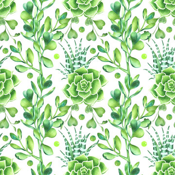Watercolor seamless pattern in retro style with succulents, jade plant, zebra plant and hoya kerrii. Decorative floral background for wedding or fabric design in green colors