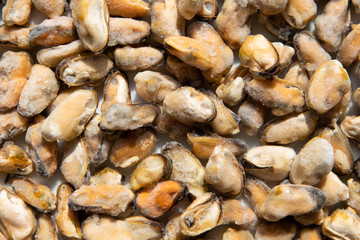 Frozen seafood photographed by closeup.