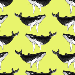 Seamless pattern with Hand drawn humpback whales. Vector with animal underwater. Illustration for wallpaper, web page background, surface textures, textile