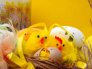 easter composition, colorful eggs, chicken in nest, color feather