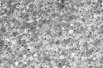 Plastic gray thermal styrofoam closeup texture.