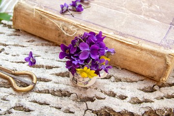 still life with garden violet