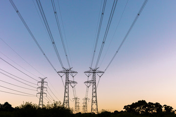 Fototapeta premium Electrical pylons standing high over vineyard at dusk.