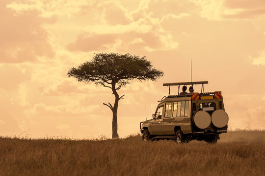 Fototapeta Tourist on safari adventure at sunset, Maasai Mara, Kenya