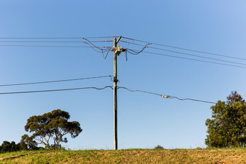 Suburban telephone pylon connecting people across long distances.