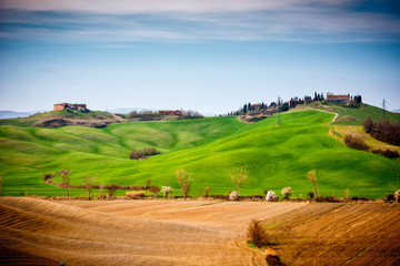 Fototapeta na wymiar Tuscan hill with row of cypress trees and farmhouse. Tuscan landscape. Italy