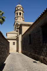 Fototapeta na wymiar Baeza (Spain). Exterior of the Cathedral of the Nativity of Our Lady of Baeza