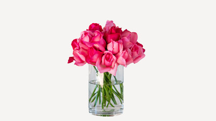 Pink roses in a glass vase, white background