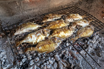 Obraz na płótnie Canvas Delicious adriatic sea fish baking on grill