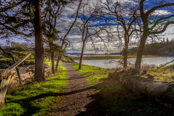 Beach trail surrounded by beautiful nature