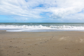 Fototapeta na wymiar sand beach south west New Zealand
