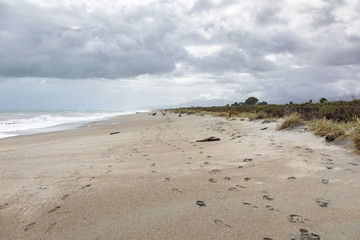 Fototapeta na wymiar sand beach south west New Zealand