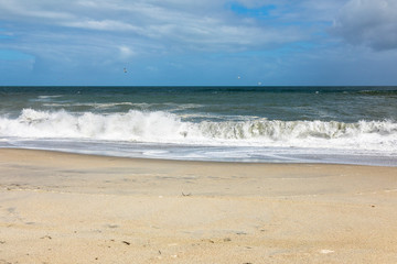 Fototapeta na wymiar sand beach south west New Zealand