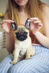 pug puppy in hands of child, close-up, lifestyle