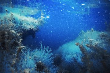 Naklejka na ściany i meble Seabed with algae and corals