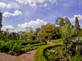 Natural scene around Huntington Library