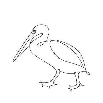recommend clip art: Pelican line art