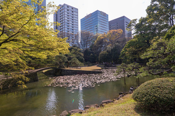 春の小石川後楽園