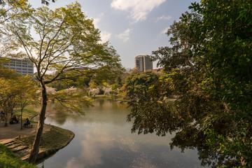 Fototapeta premium 春の小石川後楽園