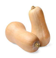 Two fresh bottle gourds on a white isolated background. Close-up. Side view.