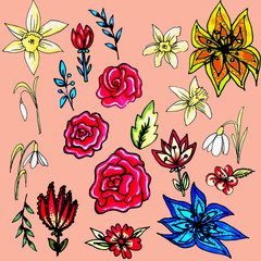 Flower set drawn by hand.Isolated flowers.Roses, tulip, snowdrops,Daffodils