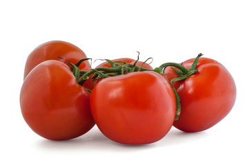 fresh organic soil tomatoes on branch isolated on white close up