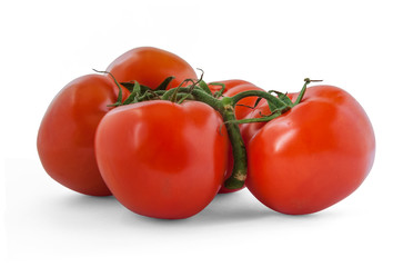 fresh organic soil tomatoes on branch isolated on white close up