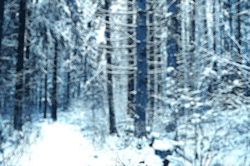 Fototapeta na wymiar abstract forest blurred winter vertical lines / winter forest background, abstract landscape