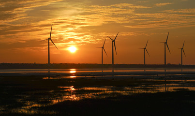 Wind energy concept : wind farm in Taiwan