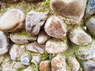 Background stones covered with green moss