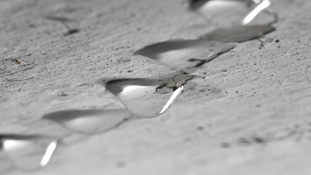 Drops of water fall from the plastered ceiling. Leak between floors of a house in need of repair.