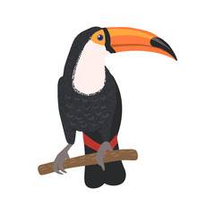 Hand drawn toucan isolated on white background. © Aleksa Mikhailechko