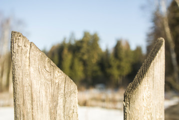 Fototapeta premium A fence made of wood. The woods are old. Untreated board.