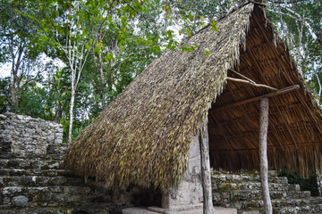 Fototapeta na wymiar Cobá