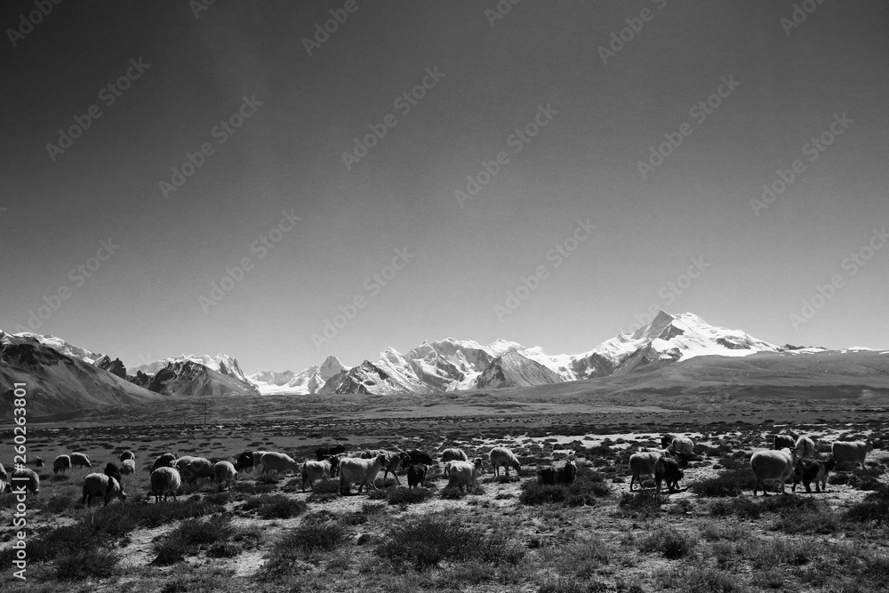 Wall mural desert landscape of nature