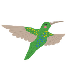 Hand drawn cute hummingbird isolated on white.
