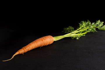 One whole fresh orange carrot with greens on grey stone
