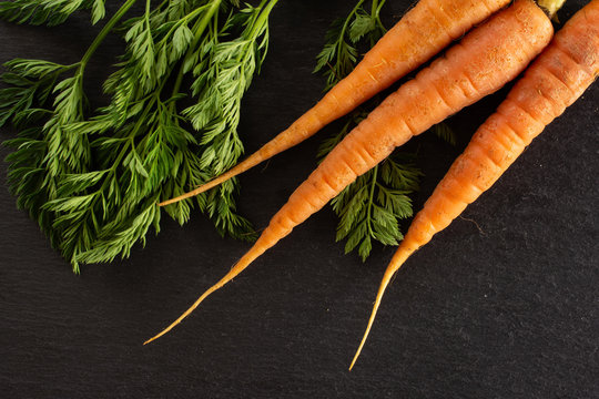 Group of three whole fresh orange carrot with greens flatlay on grey stone