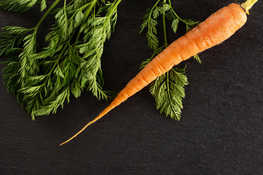 One whole fresh orange carrot with greens flatlay on grey stone