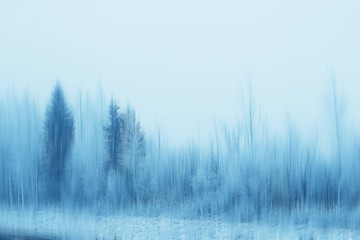 abstract forest blurred winter vertical lines / winter forest background, abstract landscape