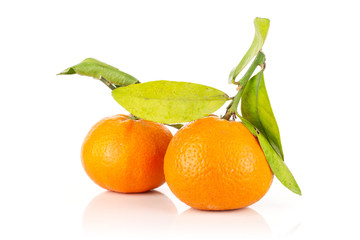 Group of two whole shiny fresh orange mandarine with green leaves isolated on white background