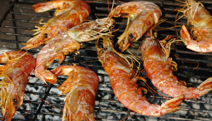 Grilled king prawns