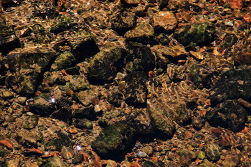 rocks and moss under water