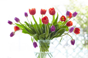 Frühlingshafter Tulpenstrauss in zarten Farben