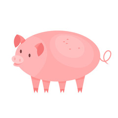 Cute pig. Farm domestic animal with a piglet