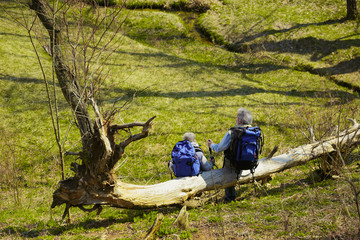 Resting. Aged family couple of man and woman in tourist outfit walking at green lawn near by trees and creek in sunny day. Concept of tourism, healthy lifestyle, relaxation and togetherness.